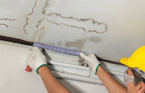 Reliable Water Removal contractor in New Weston, OH by Water Damage Irwin